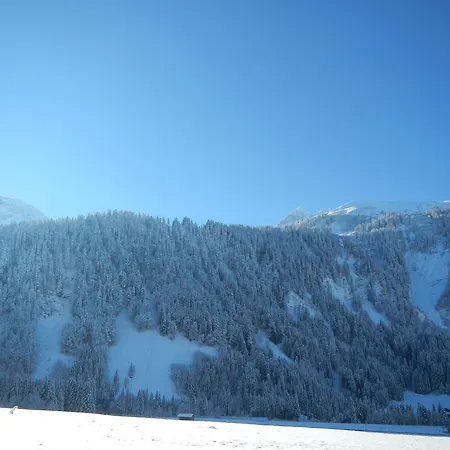 Lingg * Шоппернау